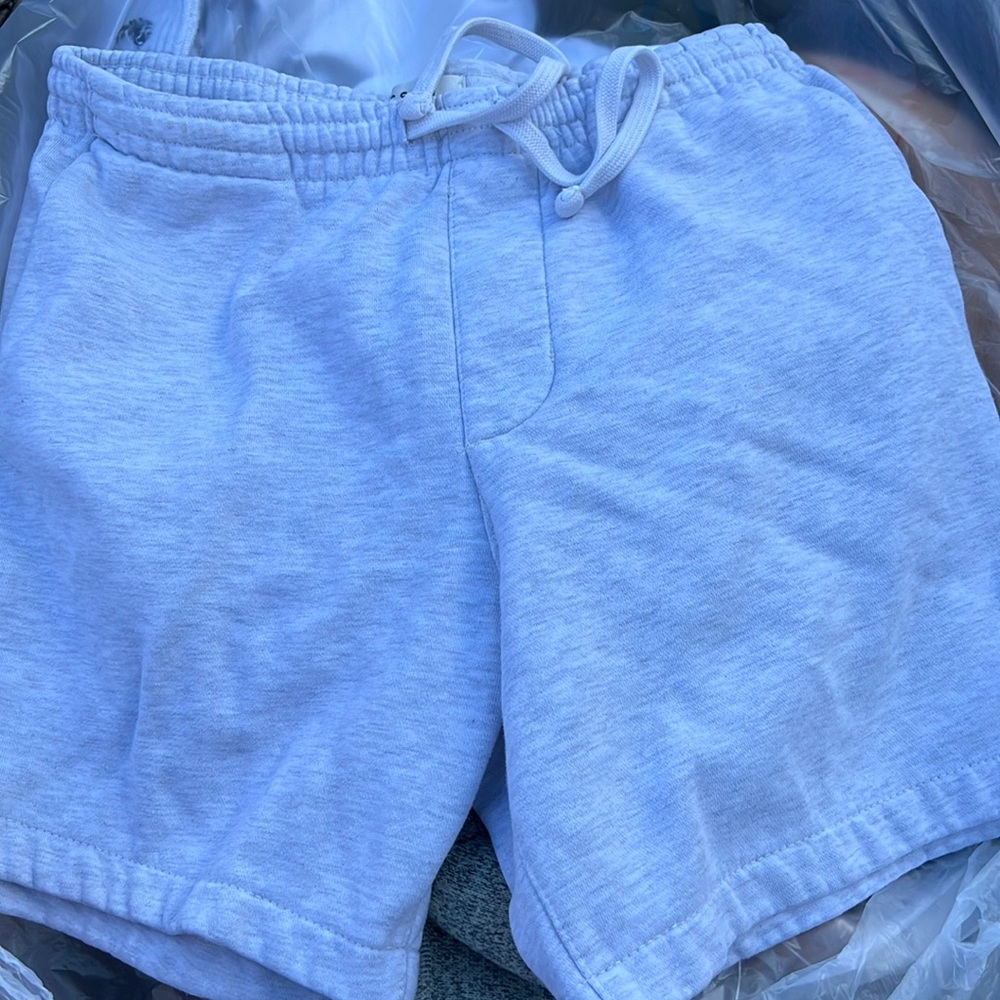 Pacsun Volley shorts